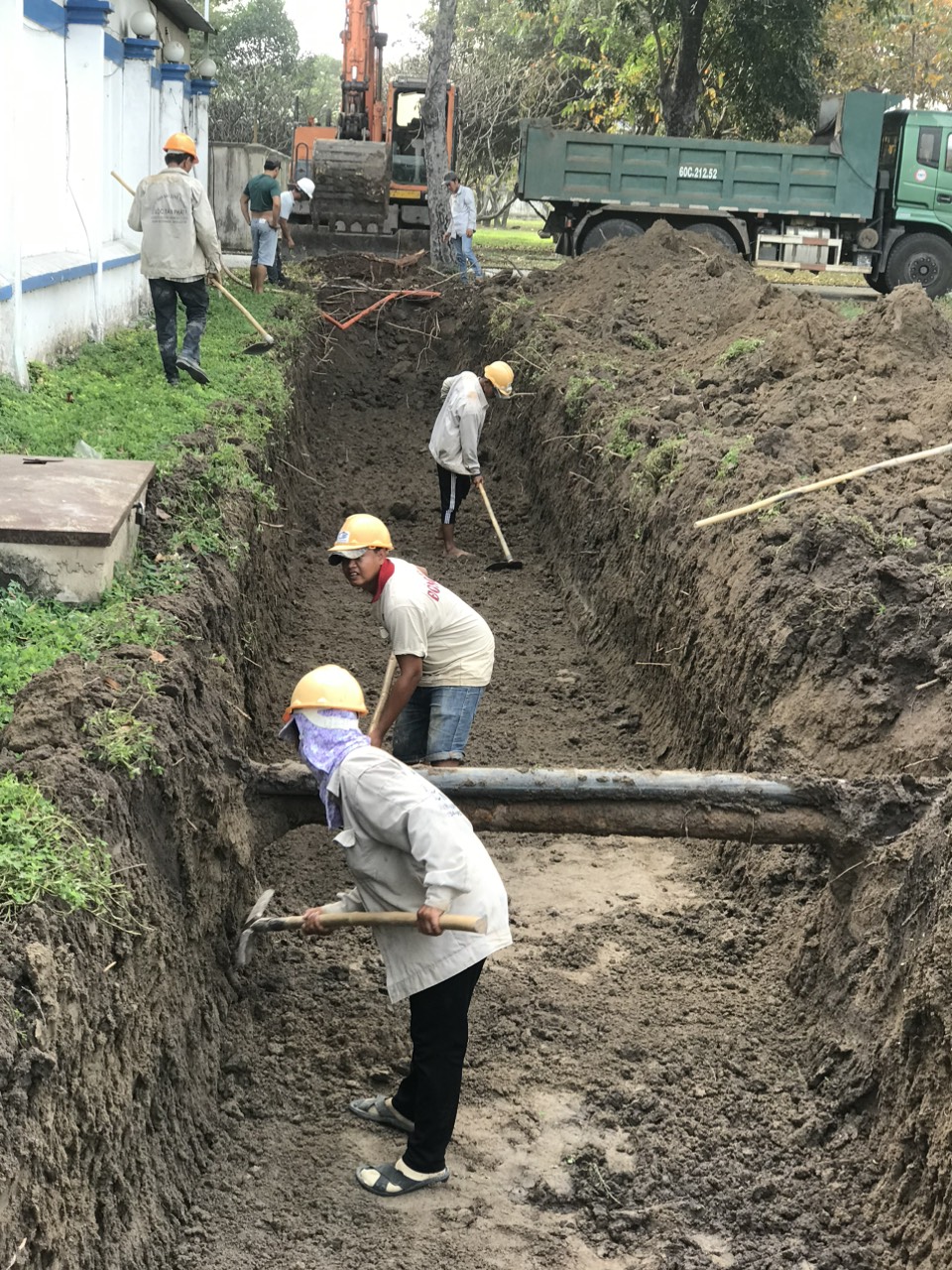 DVL Phước Thái VeDan